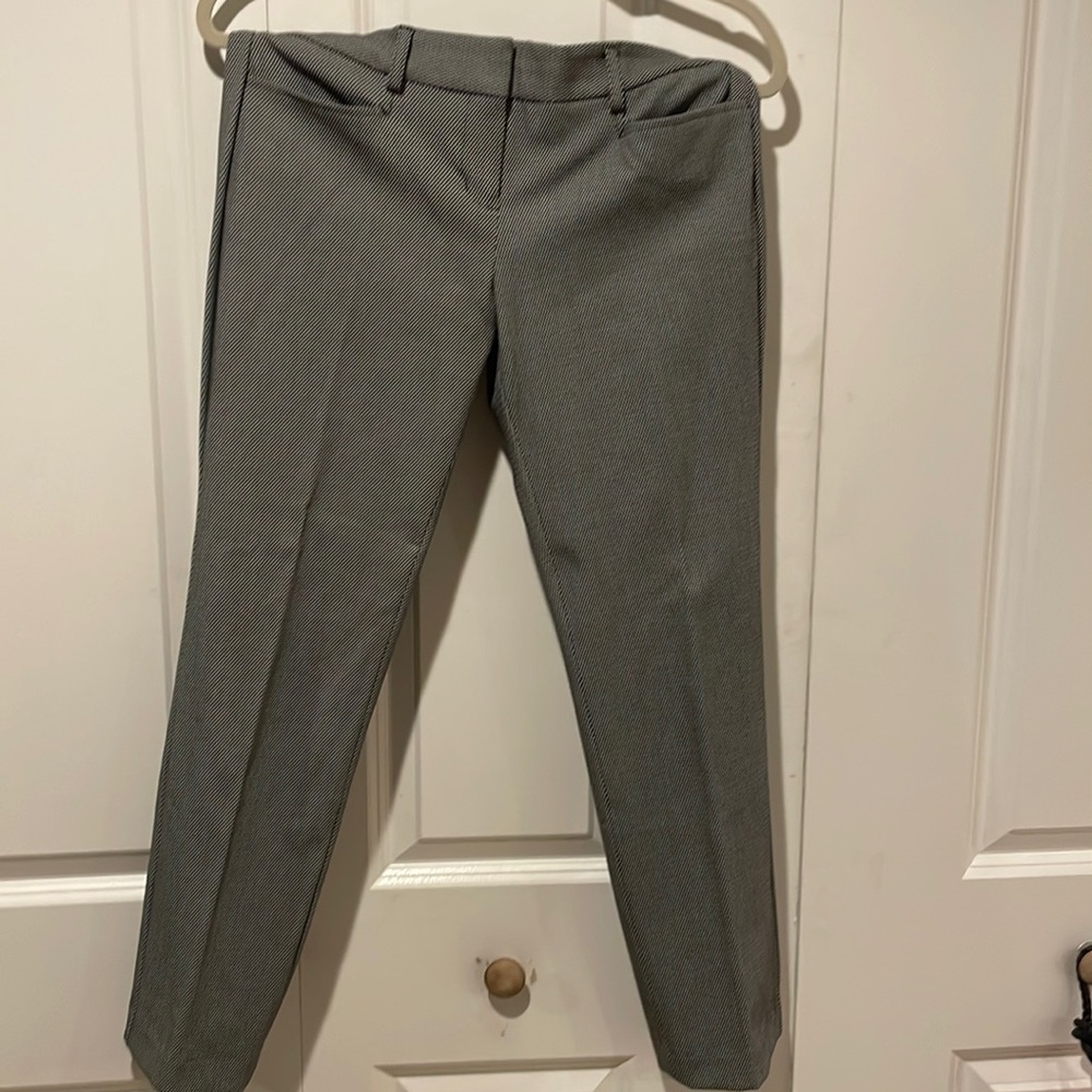 Express columnist pants size four short